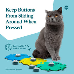 Get Started Kit Bold
