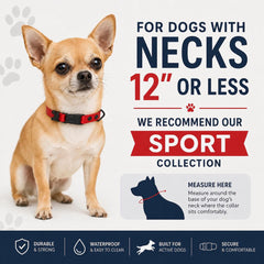 Rugged Waterproof AirTag Dog Collar with Holder